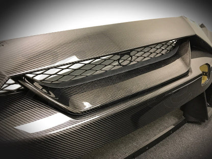 N-Tune Front Bumper Grille Insert (CF): 2017+ Nissan R35 GTR