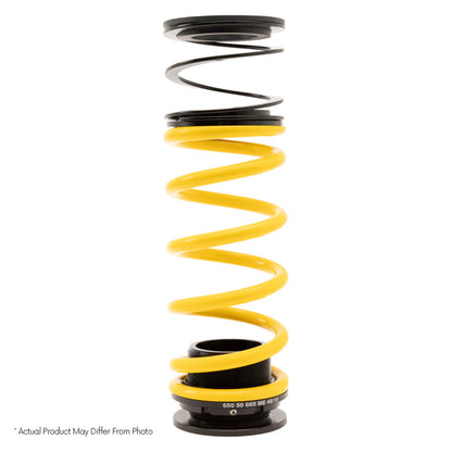 ST X-Height Adjustable Coilovers 09-17 Audi Q5(8R) Without EDC - 13210090