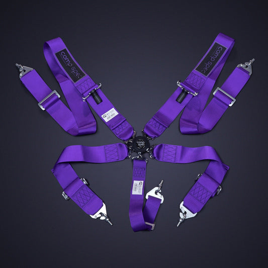 Comp Spec SFI Racing Harness