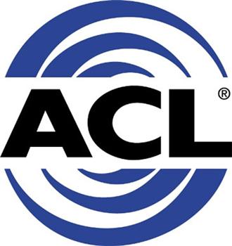 ACL 90-05 Honda B16/17/18 K20/24 0.25mm Oversized Main B - 5M1959A-.25-C-Dub Tech