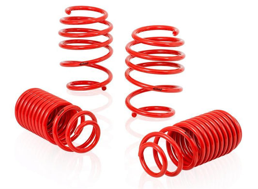 Eibach 2017-2021 Honda Civic Type-R FK8 Sportline Spring Set