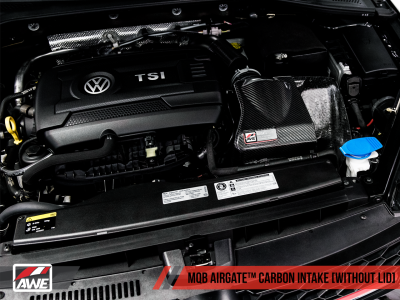 AWE Tuning Audi / Volkswagen MQB 1.8T/2.0T/Golf R Carbon Fiber - 2660-15024-C-Dub Tech