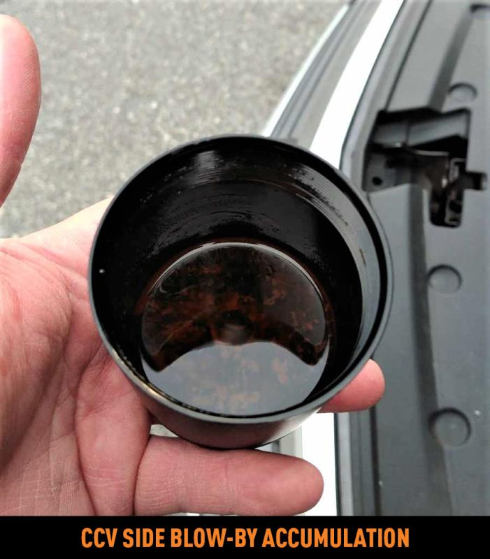 Mishimoto Complete Baffled Catch Can System | 2013+ Cadillac ATS 2.0T (MMBCC-ATS4-13S)
