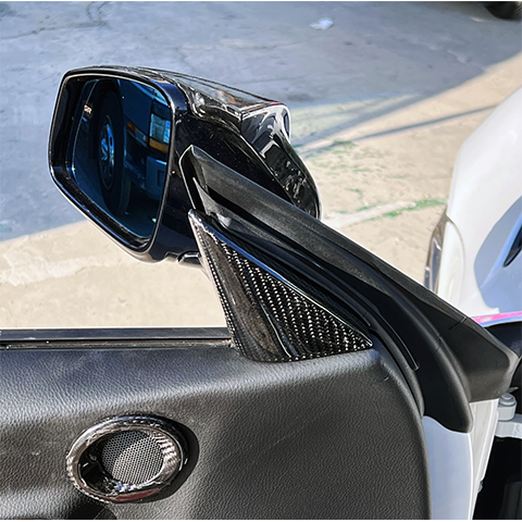 Rexpeed Carbon Fiber Interior Door/Mirror Trim | 2020-2023 Toyota GR Supra (TS99)