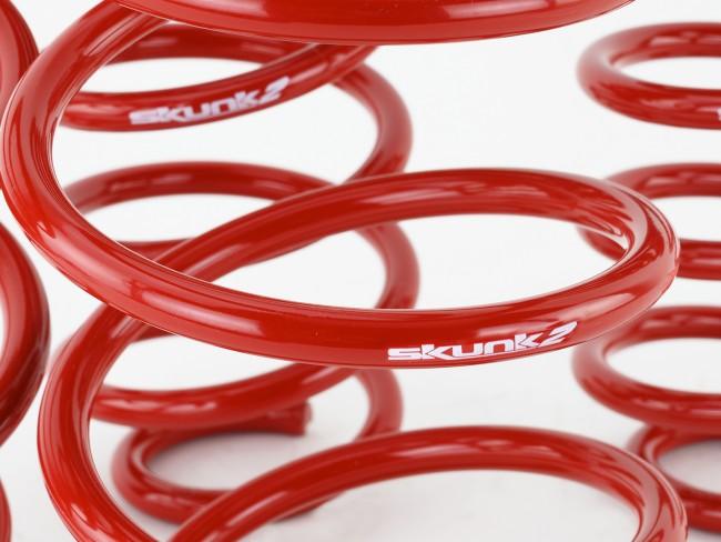 Skunk2 2016-2021 Honda Civic Lowering Springs