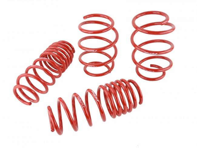 Skunk2 2016-2021 Honda Civic Lowering Springs