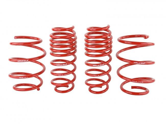 Skunk2 2016-2021 Honda Civic Lowering Springs