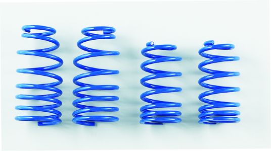 Spoon Progressive Spring - Civic FD2