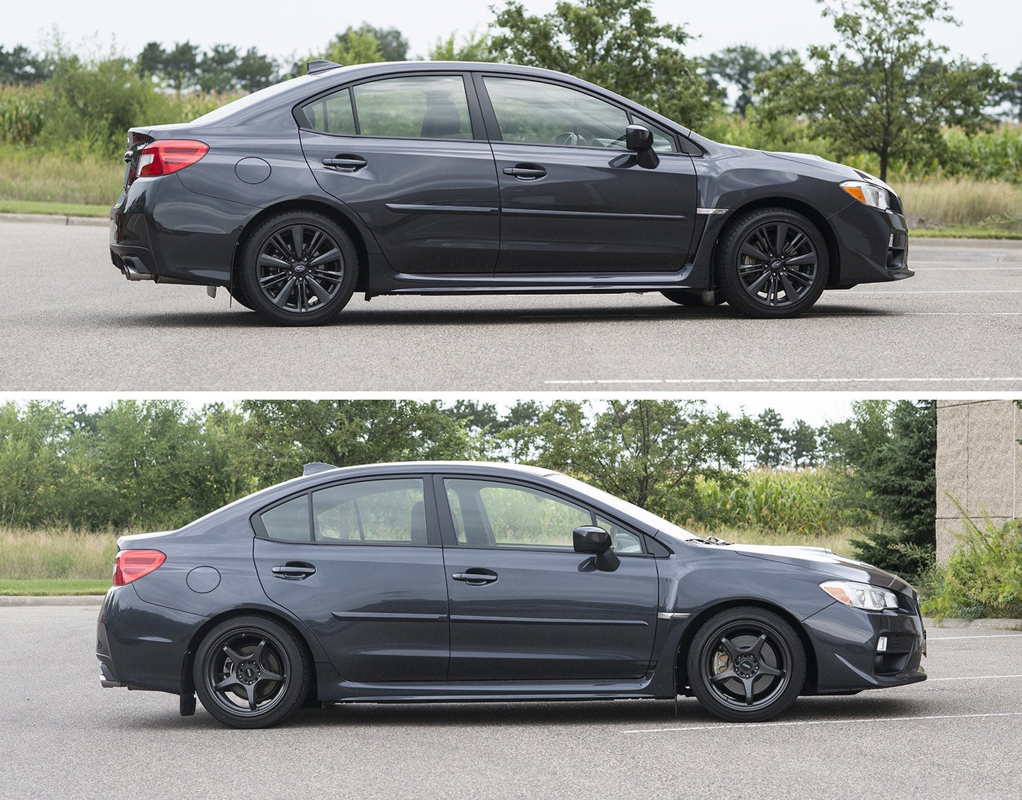 Swift SPEC-R Sport Springs | 2015-2019 Subaru WRX (4F915R)