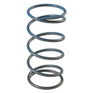 TiAL 38/40/44/46mm Wastegate Spring (Tial WGSpring)
