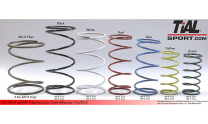 TiAL 38/40/44/46mm Wastegate Spring (Tial WGSpring)