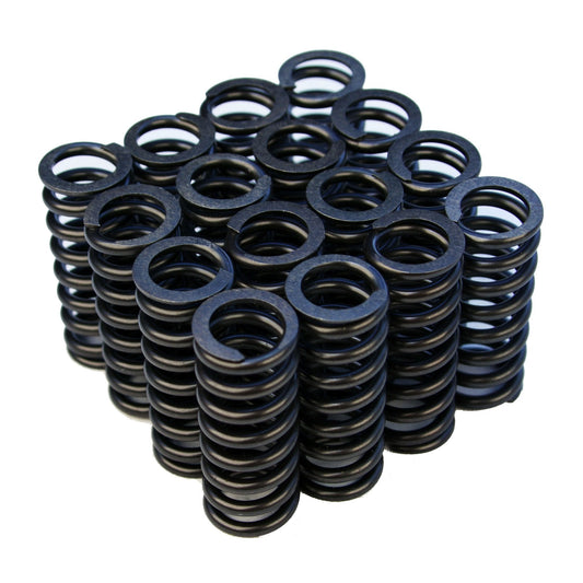 Valve Springs - D-Series SOHC VTEC - OVERSTOCK